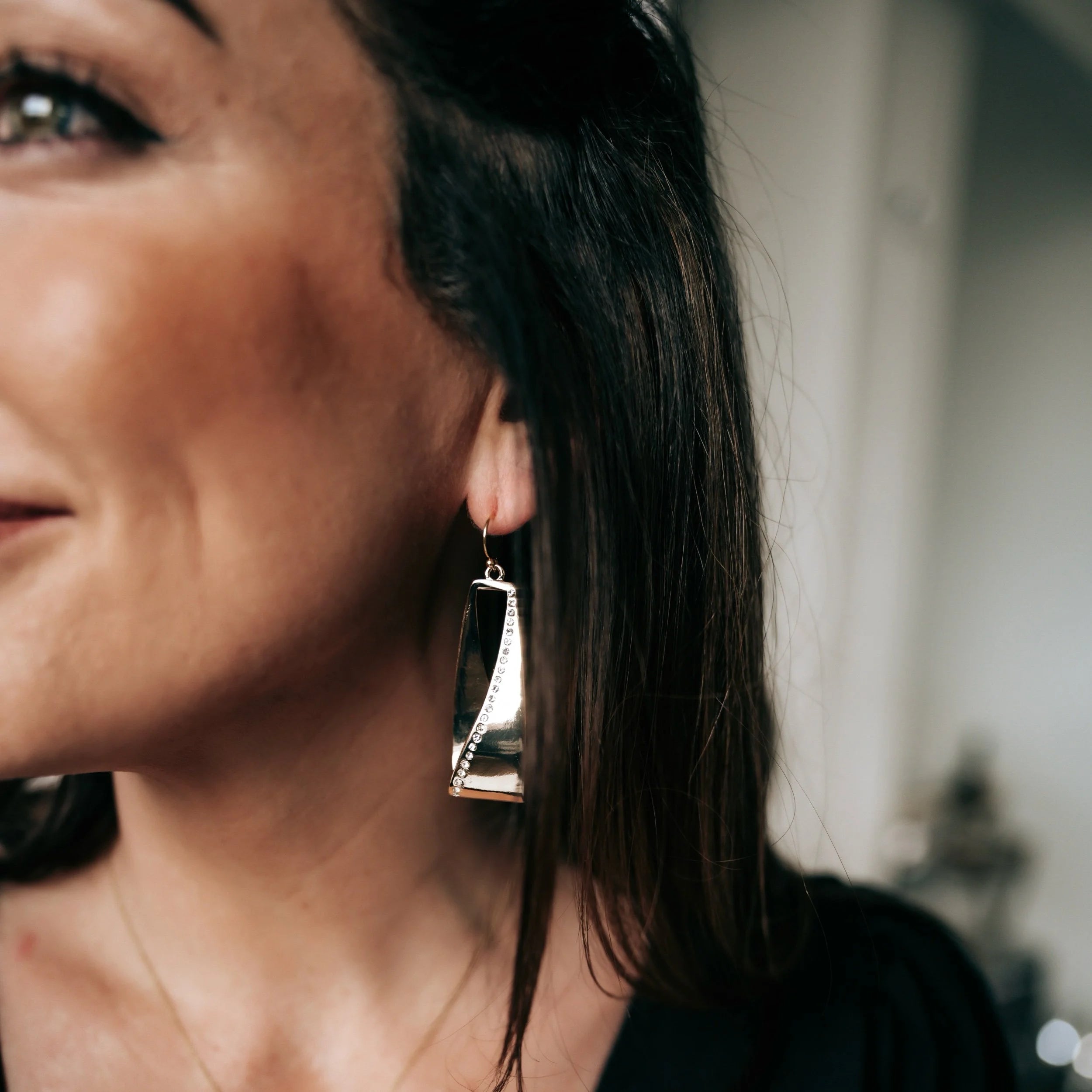 Dual Intent Earrings (Silver)